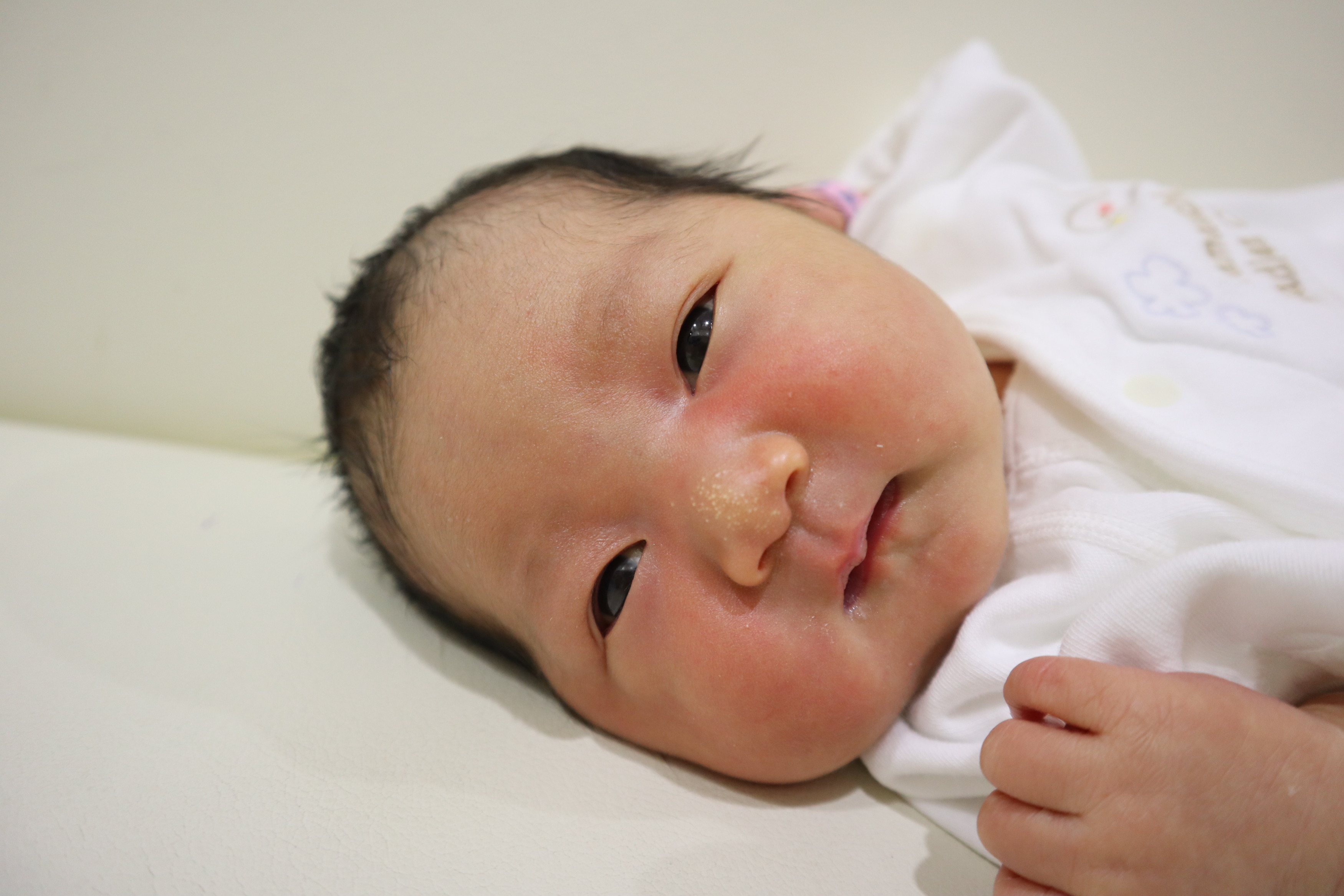 <br />
<b>Warning</b>:  Trying to access array offset on int in <b>/home/xs211088/yamauchi-lc.com/public_html/wp/wp-content/themes/yamauchi-lc3/single-hello-world.php</b> on line <b>32</b><br />
