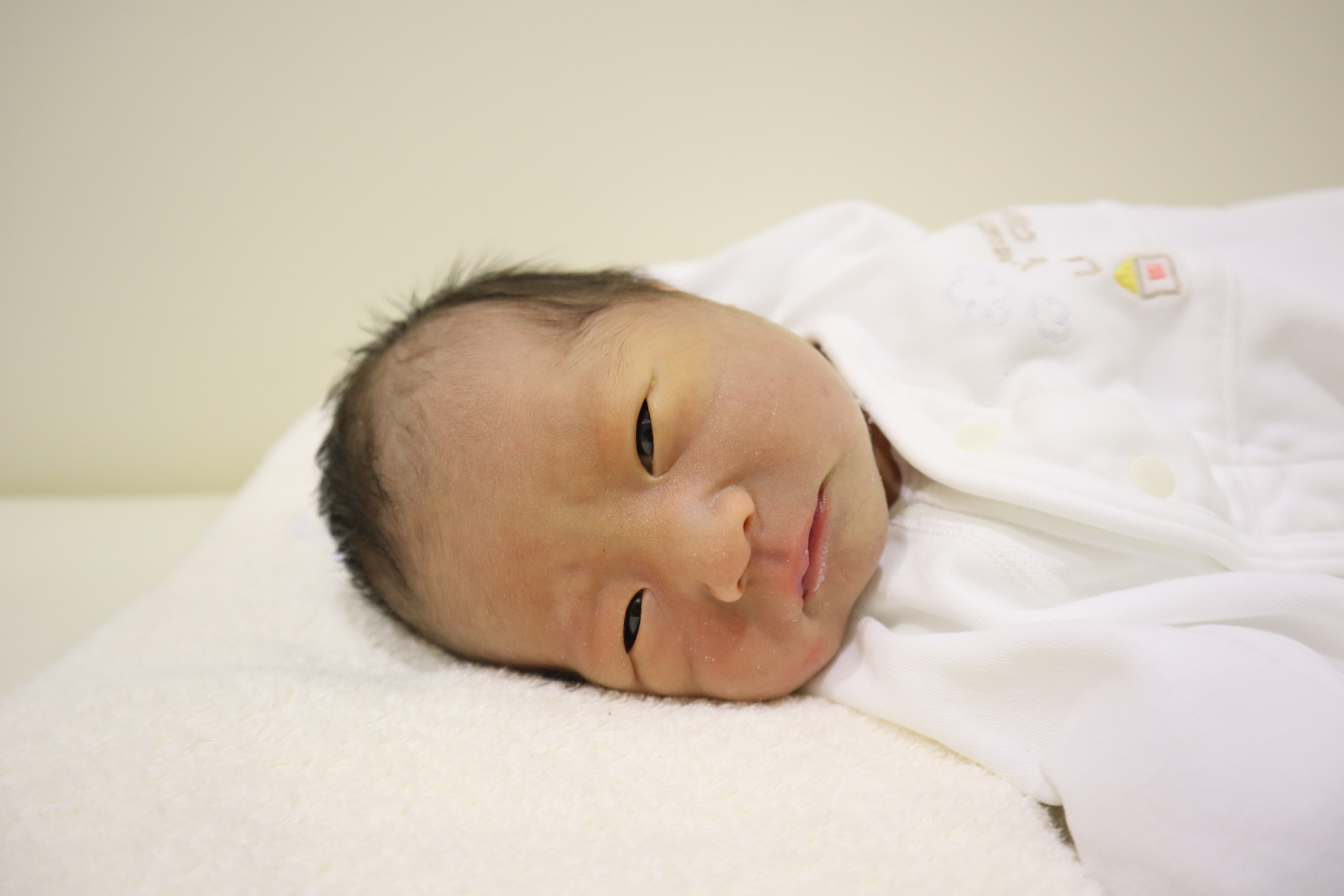 <br />
<b>Warning</b>:  Trying to access array offset on int in <b>/home/xs211088/yamauchi-lc.com/public_html/wp/wp-content/themes/yamauchi-lc3/single-hello-world.php</b> on line <b>32</b><br />
