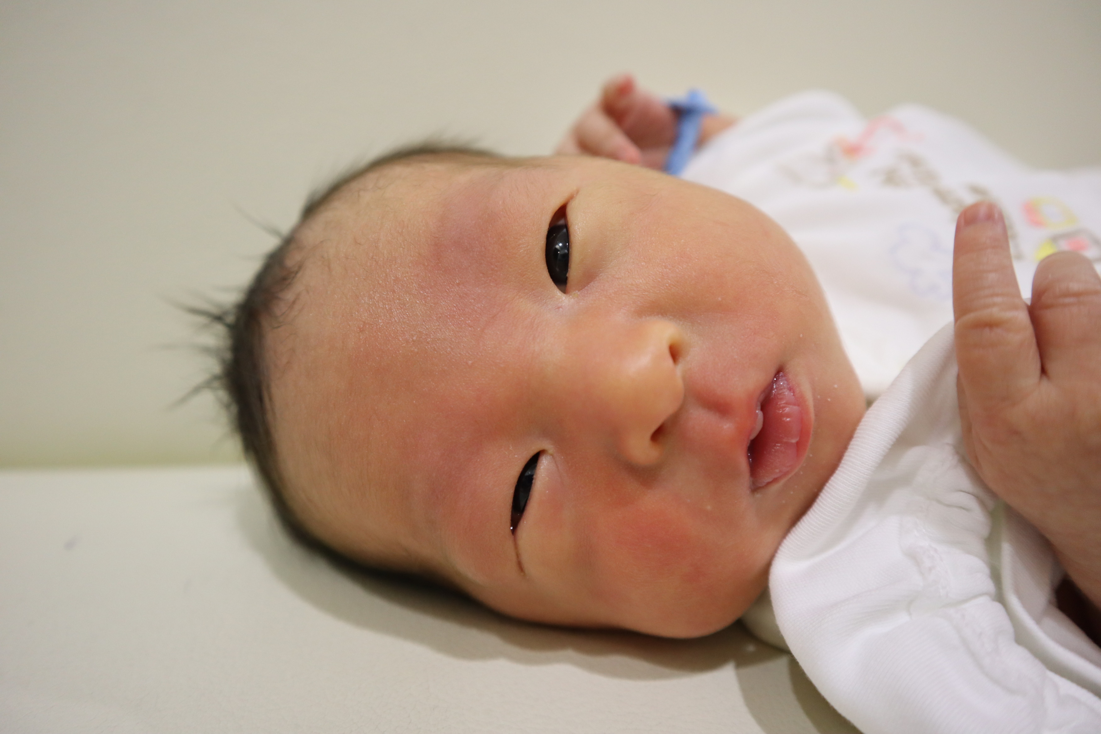 <br />
<b>Warning</b>:  Trying to access array offset on int in <b>/home/xs211088/yamauchi-lc.com/public_html/wp/wp-content/themes/yamauchi-lc3/single-hello-world.php</b> on line <b>32</b><br />
