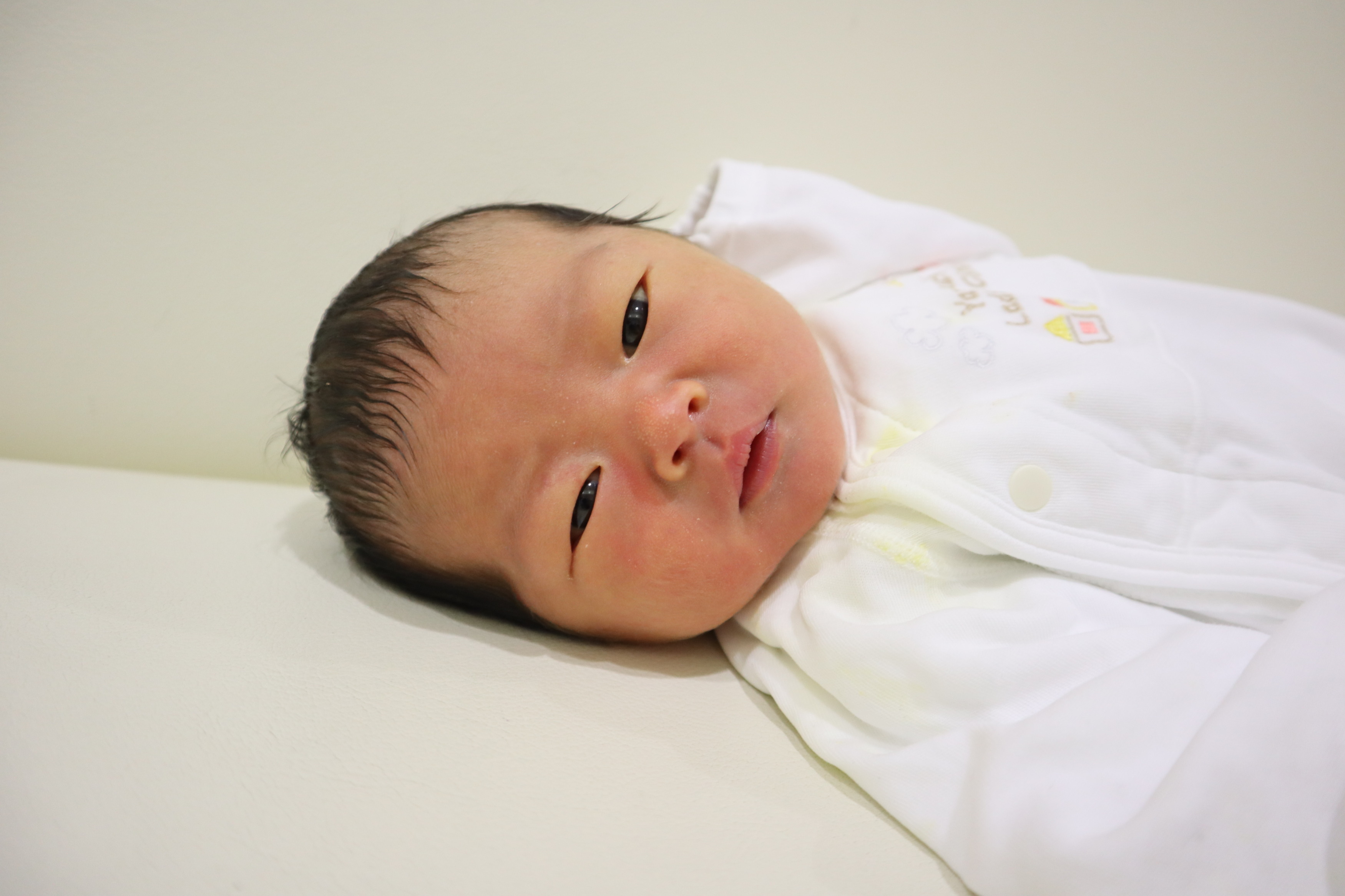 <br />
<b>Warning</b>:  Trying to access array offset on int in <b>/home/xs211088/yamauchi-lc.com/public_html/wp/wp-content/themes/yamauchi-lc3/single-hello-world.php</b> on line <b>32</b><br />
