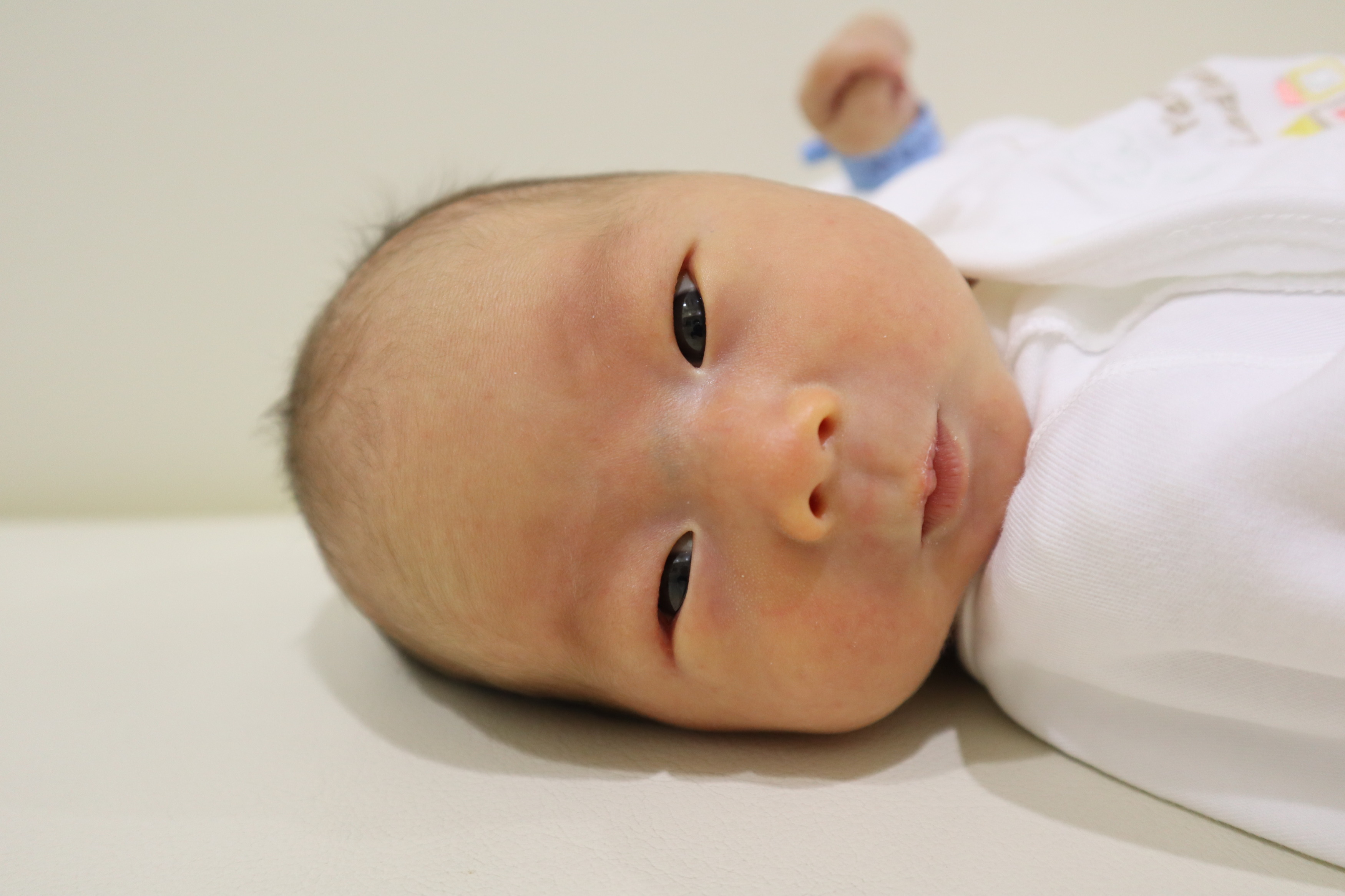 <br />
<b>Warning</b>:  Trying to access array offset on int in <b>/home/xs211088/yamauchi-lc.com/public_html/wp/wp-content/themes/yamauchi-lc3/single-hello-world.php</b> on line <b>32</b><br />
