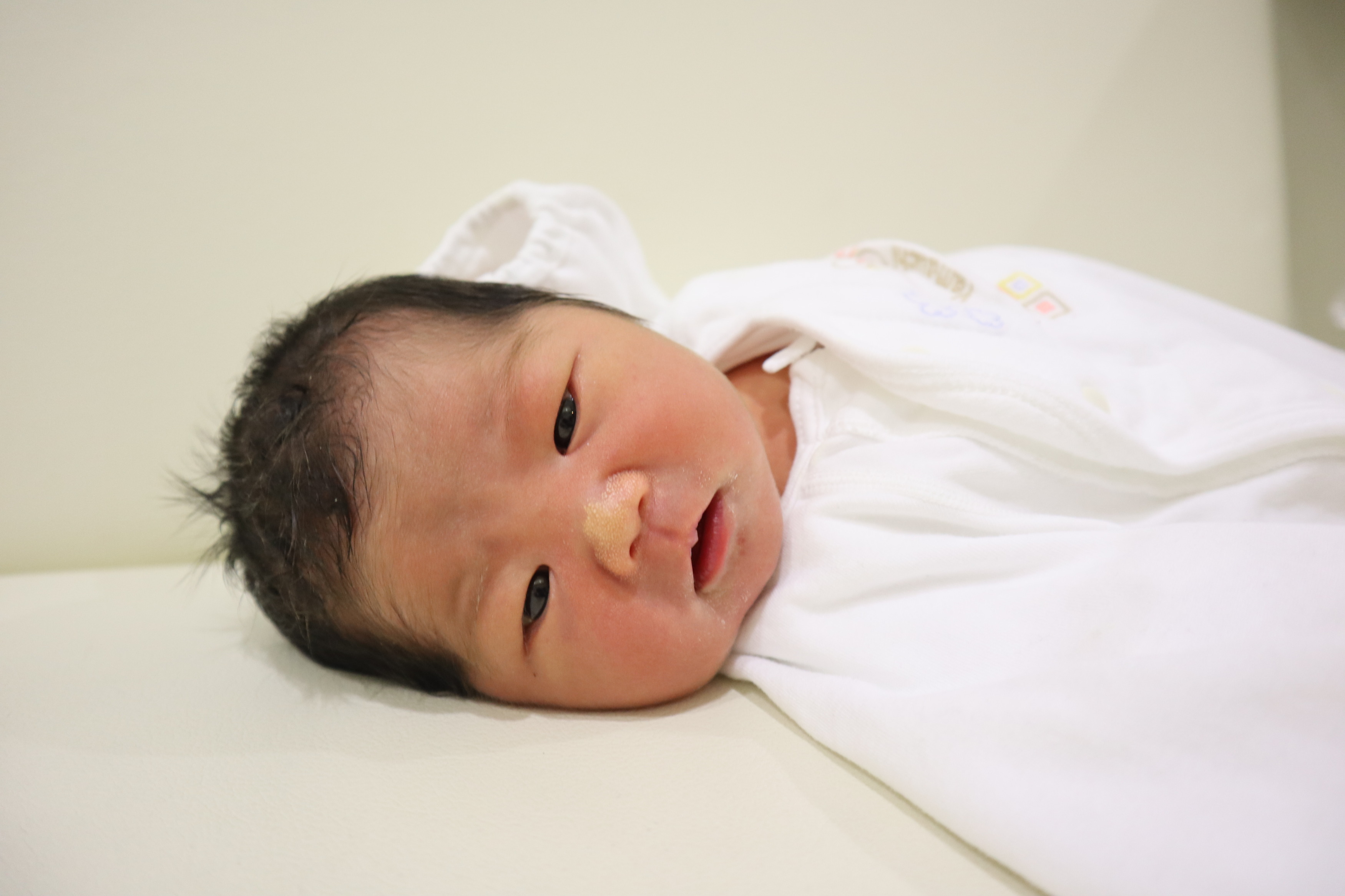 <br />
<b>Warning</b>:  Trying to access array offset on int in <b>/home/xs211088/yamauchi-lc.com/public_html/wp/wp-content/themes/yamauchi-lc3/single-hello-world.php</b> on line <b>32</b><br />
