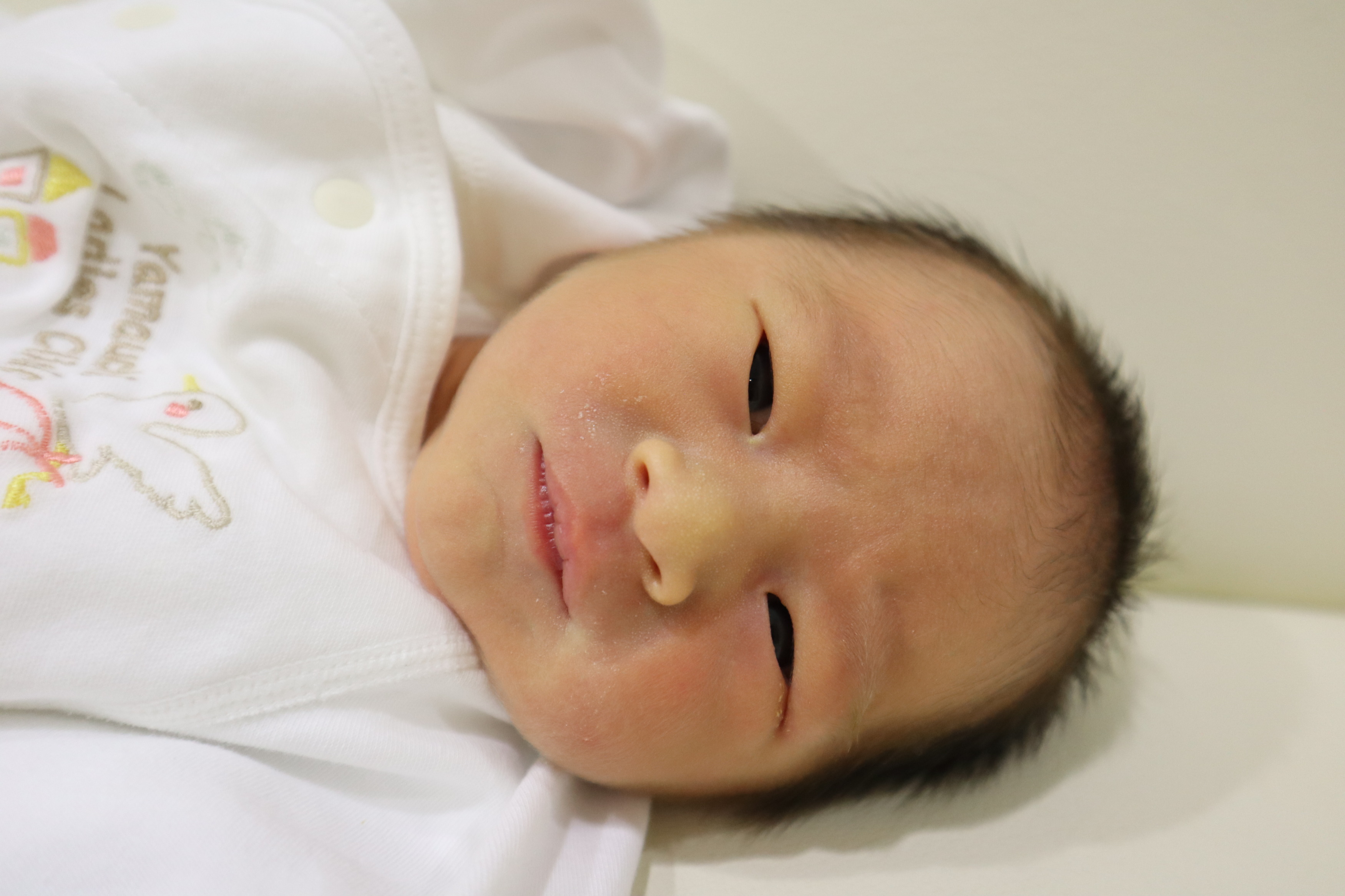 <br />
<b>Warning</b>:  Trying to access array offset on int in <b>/home/xs211088/yamauchi-lc.com/public_html/wp/wp-content/themes/yamauchi-lc3/single-hello-world.php</b> on line <b>32</b><br />
