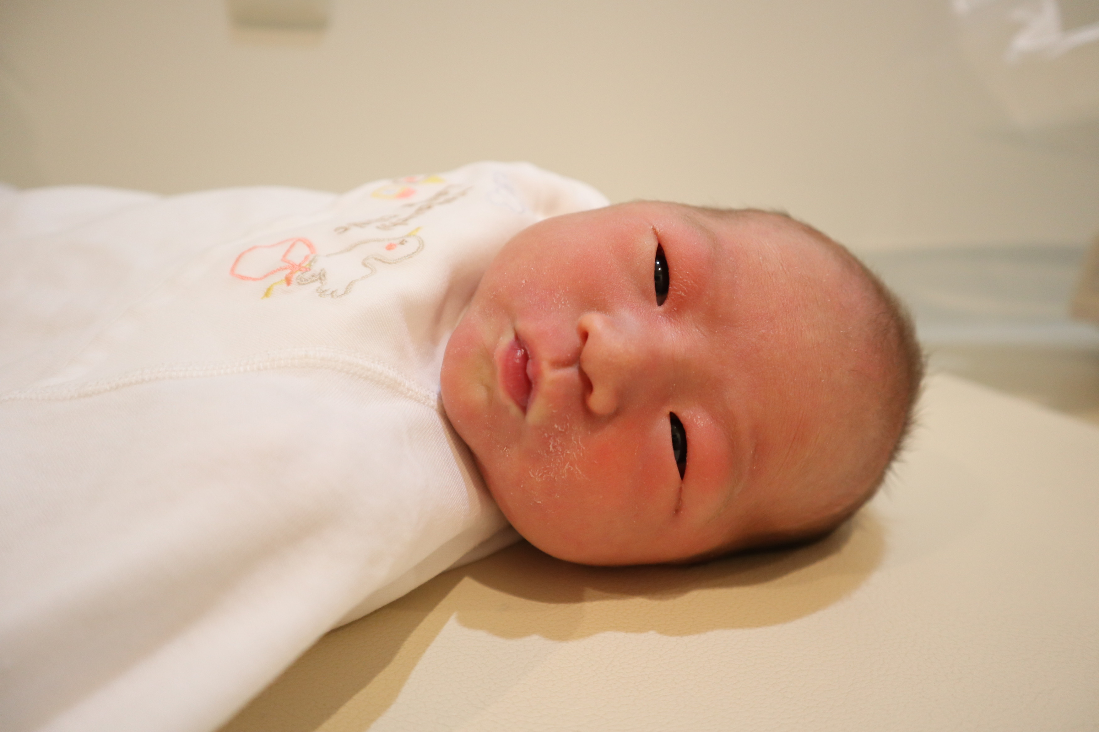 <br />
<b>Warning</b>:  Trying to access array offset on int in <b>/home/xs211088/yamauchi-lc.com/public_html/wp/wp-content/themes/yamauchi-lc3/single-hello-world.php</b> on line <b>32</b><br />
