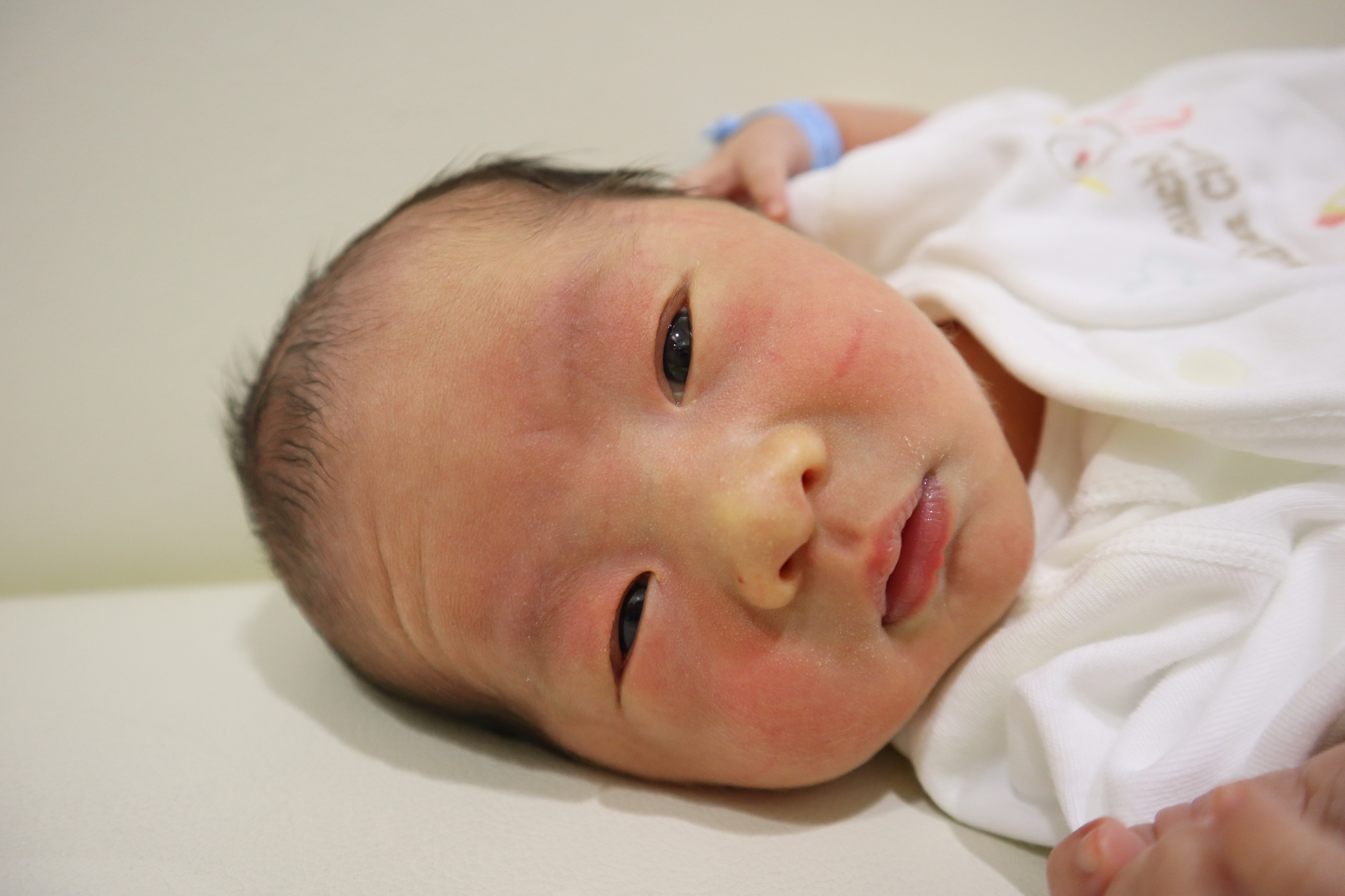 <br />
<b>Warning</b>:  Trying to access array offset on int in <b>/home/xs211088/yamauchi-lc.com/public_html/wp/wp-content/themes/yamauchi-lc3/single-hello-world.php</b> on line <b>32</b><br />
