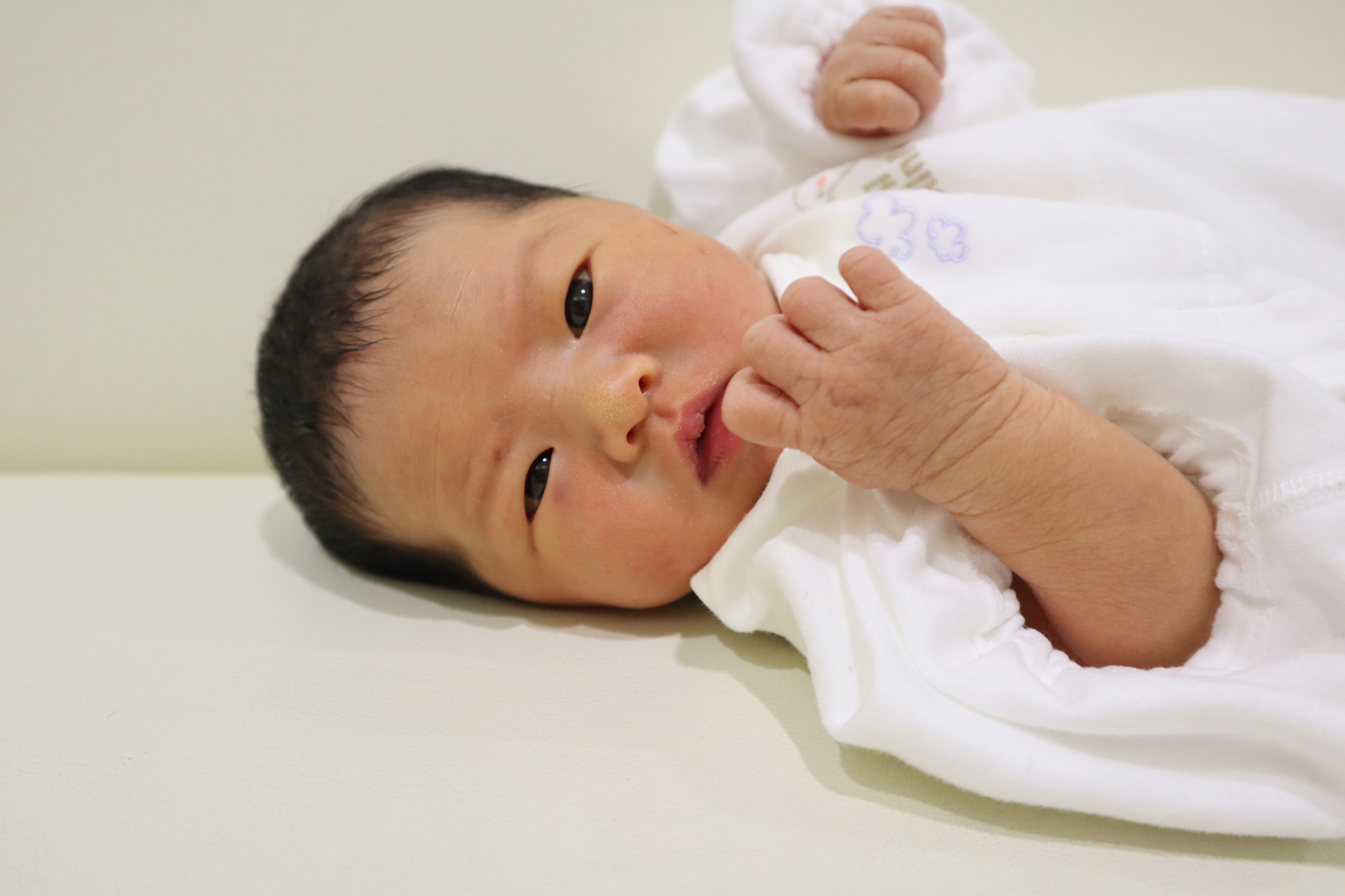 <br />
<b>Warning</b>:  Trying to access array offset on int in <b>/home/xs211088/yamauchi-lc.com/public_html/wp/wp-content/themes/yamauchi-lc3/single-hello-world.php</b> on line <b>32</b><br />
