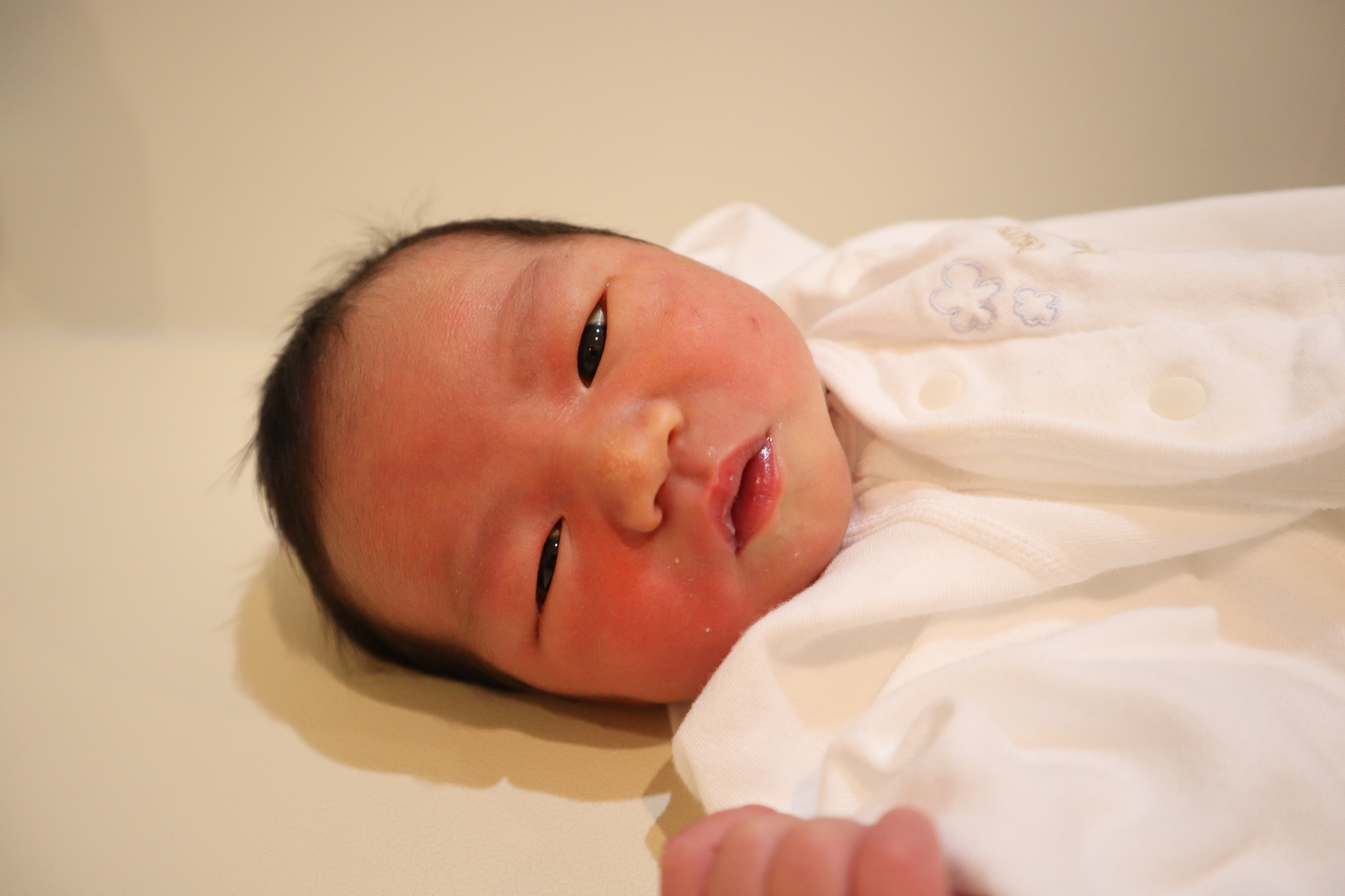 <br />
<b>Warning</b>:  Trying to access array offset on int in <b>/home/xs211088/yamauchi-lc.com/public_html/wp/wp-content/themes/yamauchi-lc3/single-hello-world.php</b> on line <b>32</b><br />
