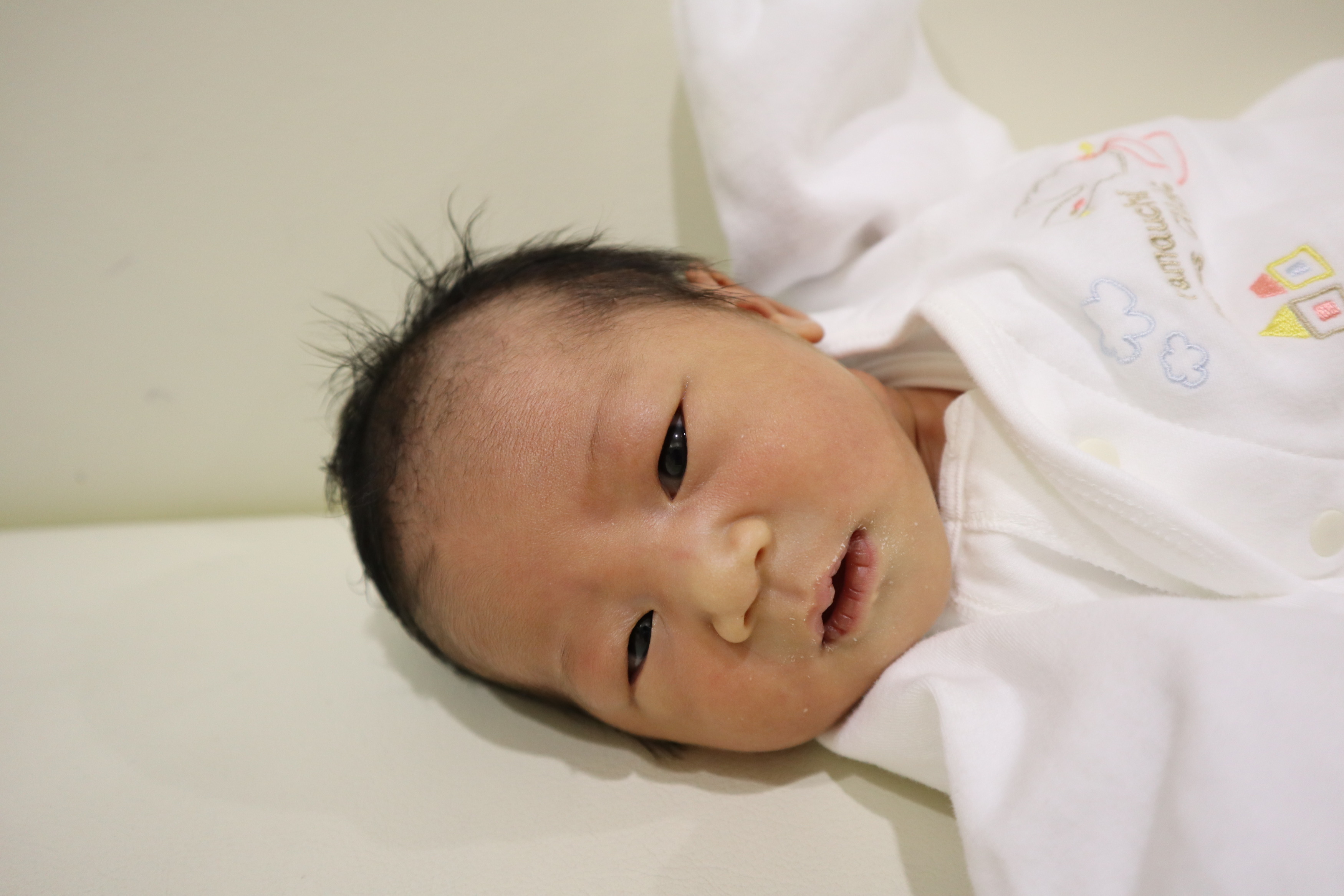 <br />
<b>Warning</b>:  Trying to access array offset on int in <b>/home/xs211088/yamauchi-lc.com/public_html/wp/wp-content/themes/yamauchi-lc3/single-hello-world.php</b> on line <b>32</b><br />
