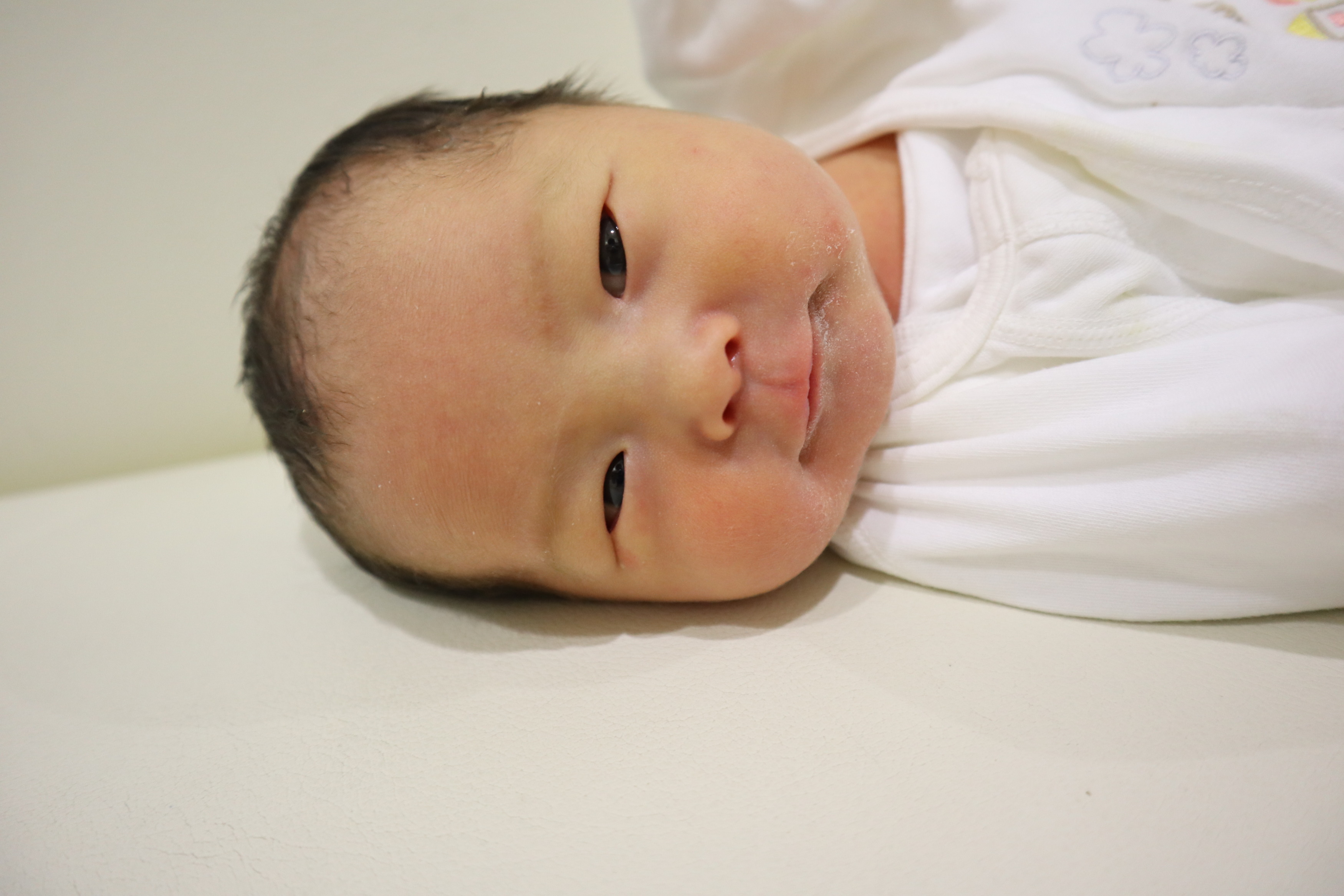 <br />
<b>Warning</b>:  Trying to access array offset on int in <b>/home/xs211088/yamauchi-lc.com/public_html/wp/wp-content/themes/yamauchi-lc3/single-hello-world.php</b> on line <b>32</b><br />
