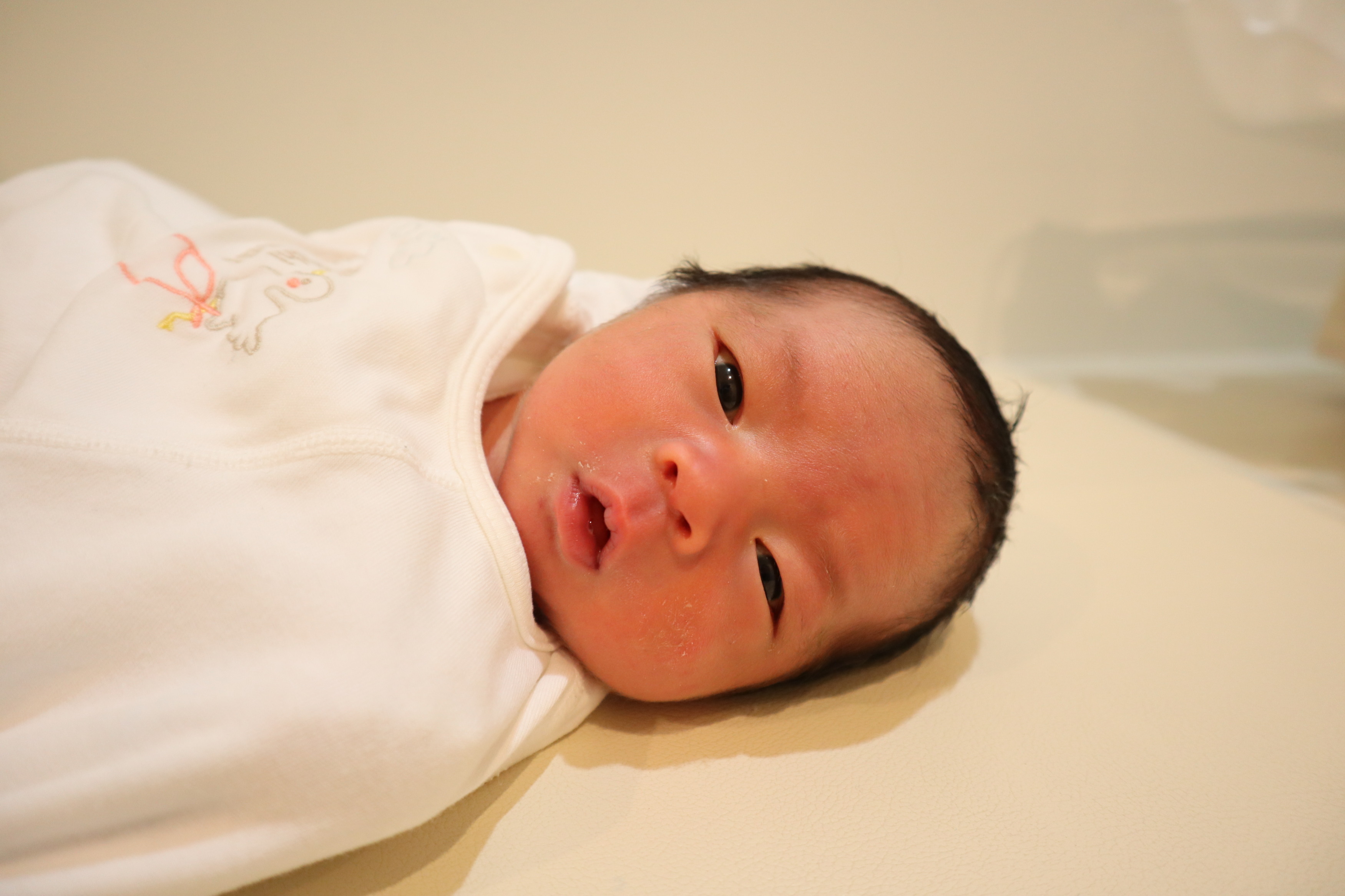 <br />
<b>Warning</b>:  Trying to access array offset on int in <b>/home/xs211088/yamauchi-lc.com/public_html/wp/wp-content/themes/yamauchi-lc3/single-hello-world.php</b> on line <b>32</b><br />
