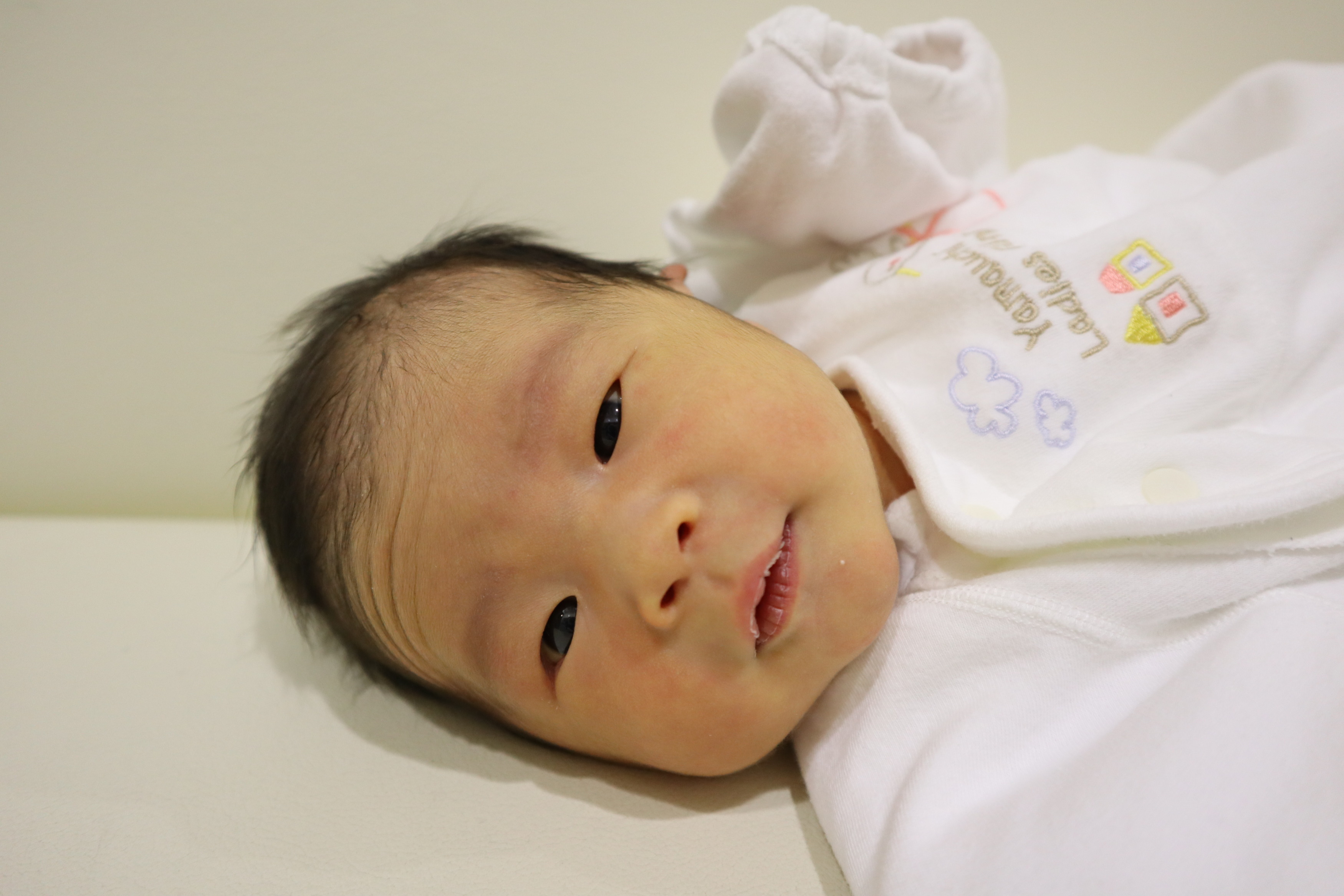 <br />
<b>Warning</b>:  Trying to access array offset on int in <b>/home/xs211088/yamauchi-lc.com/public_html/wp/wp-content/themes/yamauchi-lc3/single-hello-world.php</b> on line <b>32</b><br />
