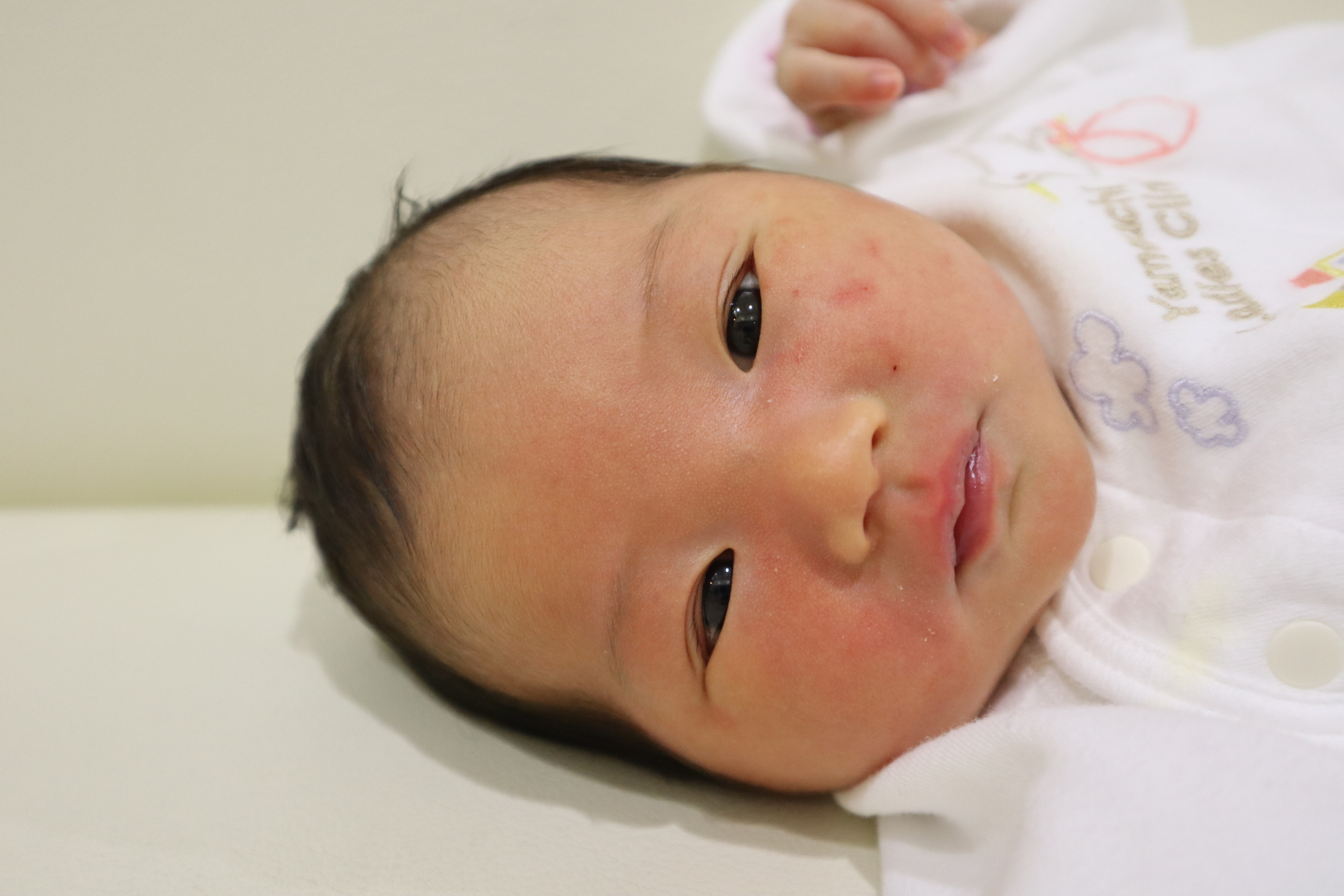 <br />
<b>Warning</b>:  Trying to access array offset on int in <b>/home/xs211088/yamauchi-lc.com/public_html/wp/wp-content/themes/yamauchi-lc3/single-hello-world.php</b> on line <b>32</b><br />
