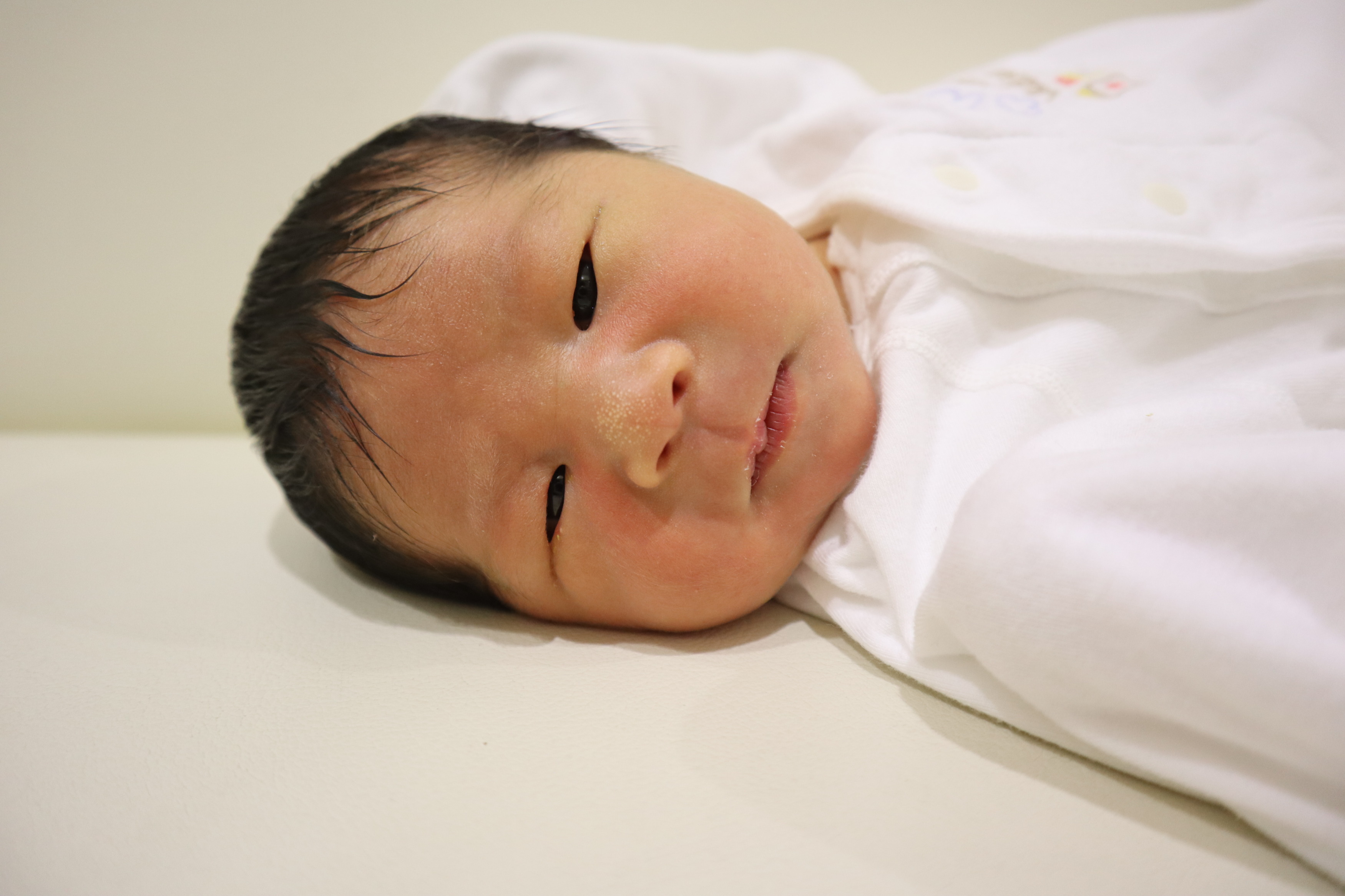 <br />
<b>Warning</b>:  Trying to access array offset on int in <b>/home/xs211088/yamauchi-lc.com/public_html/wp/wp-content/themes/yamauchi-lc3/single-hello-world.php</b> on line <b>32</b><br />
