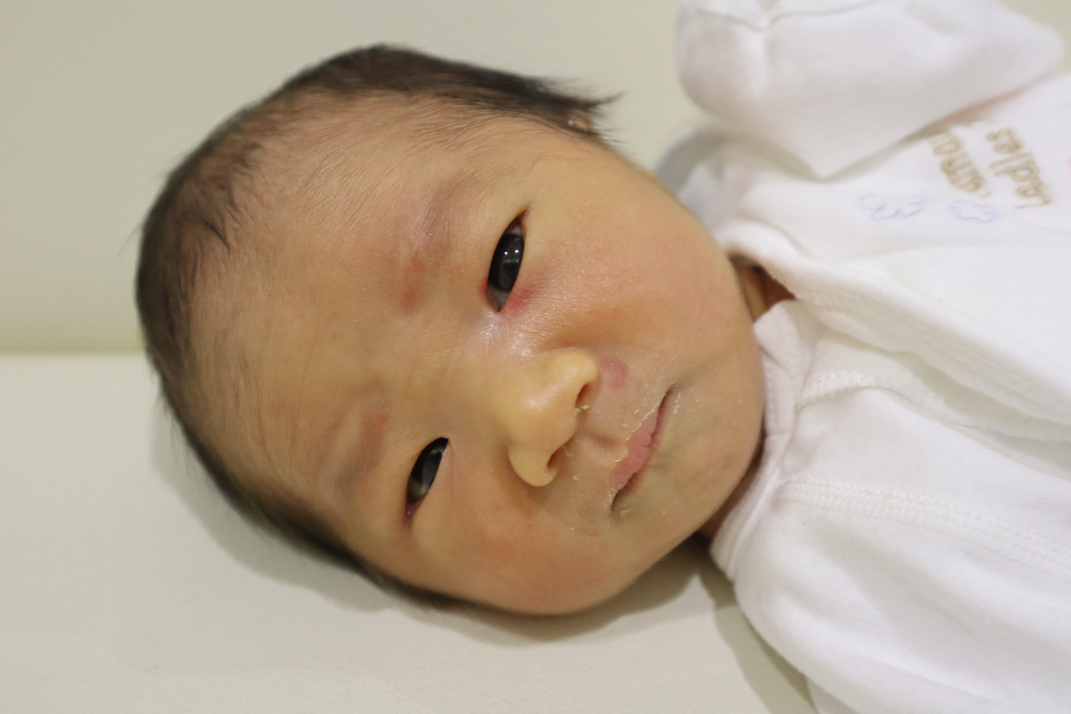 <br />
<b>Warning</b>:  Trying to access array offset on int in <b>/home/xs211088/yamauchi-lc.com/public_html/wp/wp-content/themes/yamauchi-lc3/single-hello-world.php</b> on line <b>32</b><br />
