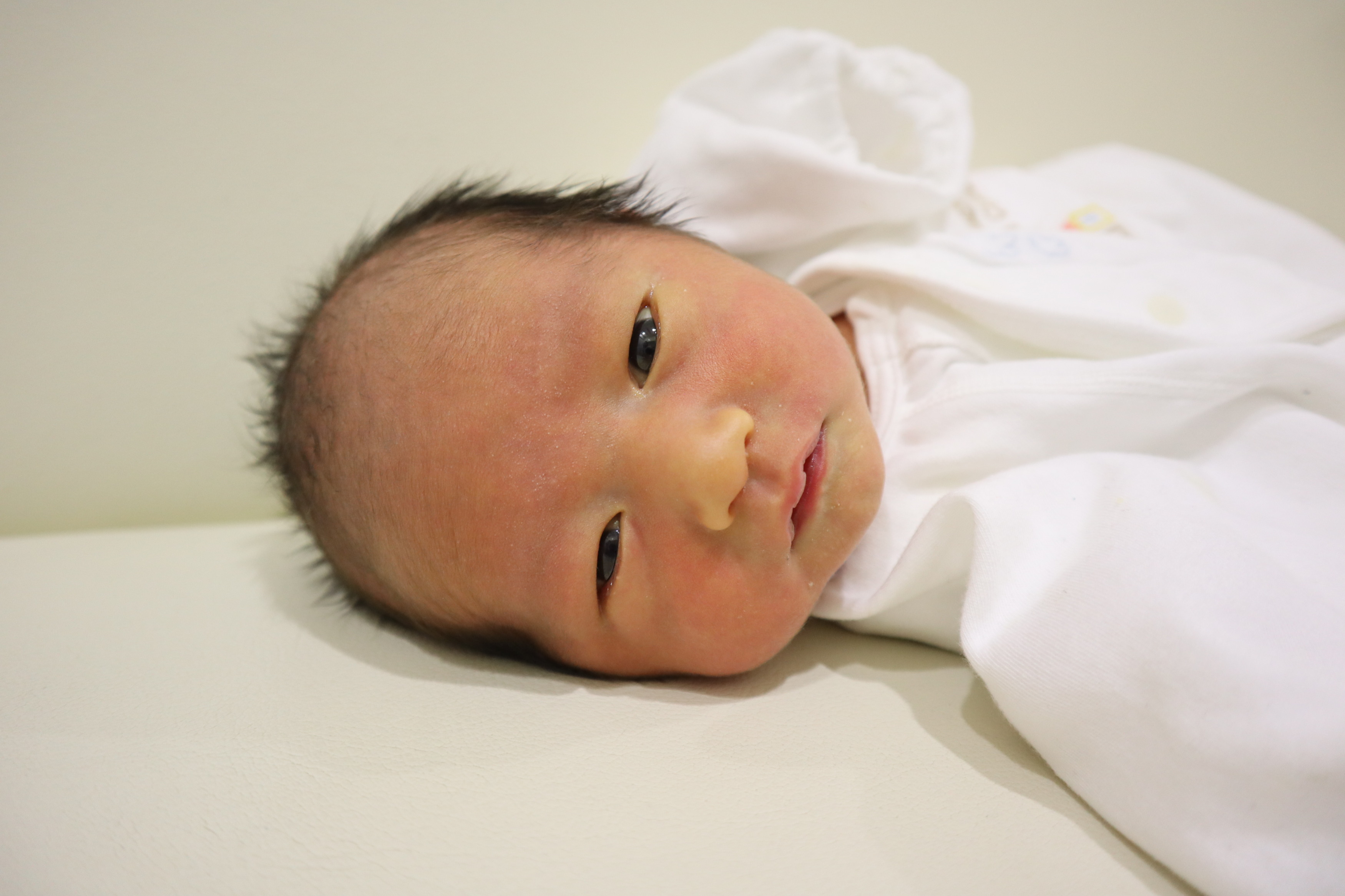 <br />
<b>Warning</b>:  Trying to access array offset on int in <b>/home/xs211088/yamauchi-lc.com/public_html/wp/wp-content/themes/yamauchi-lc3/single-hello-world.php</b> on line <b>32</b><br />
