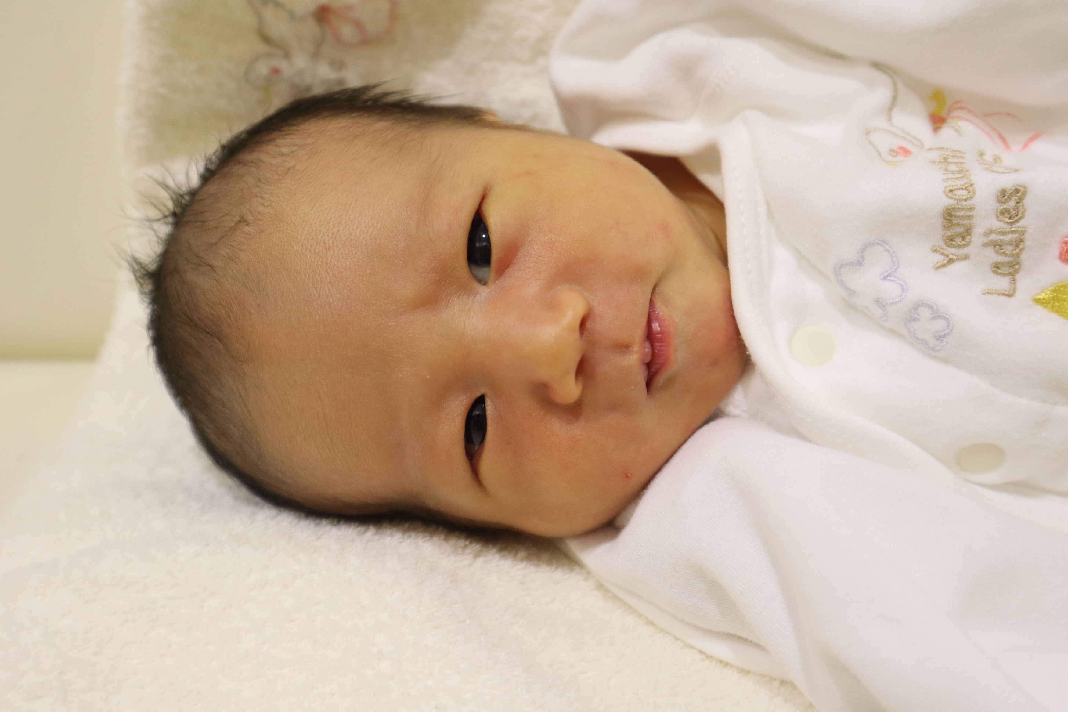 <br />
<b>Warning</b>:  Trying to access array offset on int in <b>/home/xs211088/yamauchi-lc.com/public_html/wp/wp-content/themes/yamauchi-lc3/single-hello-world.php</b> on line <b>32</b><br />
