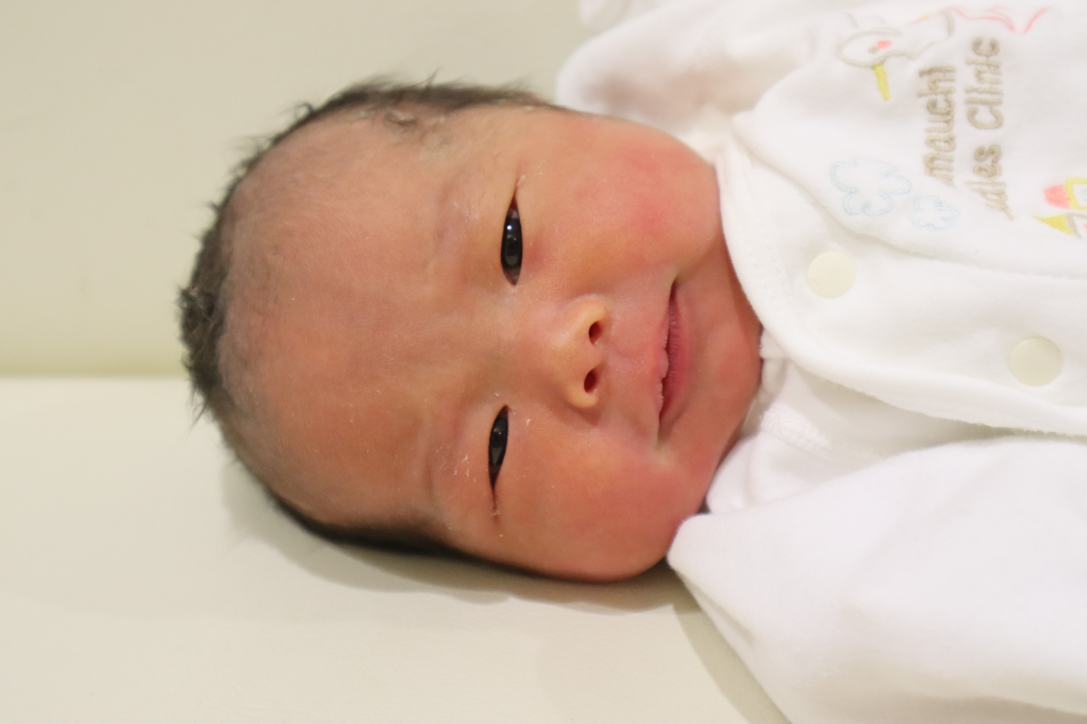 <br />
<b>Warning</b>:  Trying to access array offset on int in <b>/home/xs211088/yamauchi-lc.com/public_html/wp/wp-content/themes/yamauchi-lc3/single-hello-world.php</b> on line <b>32</b><br />
