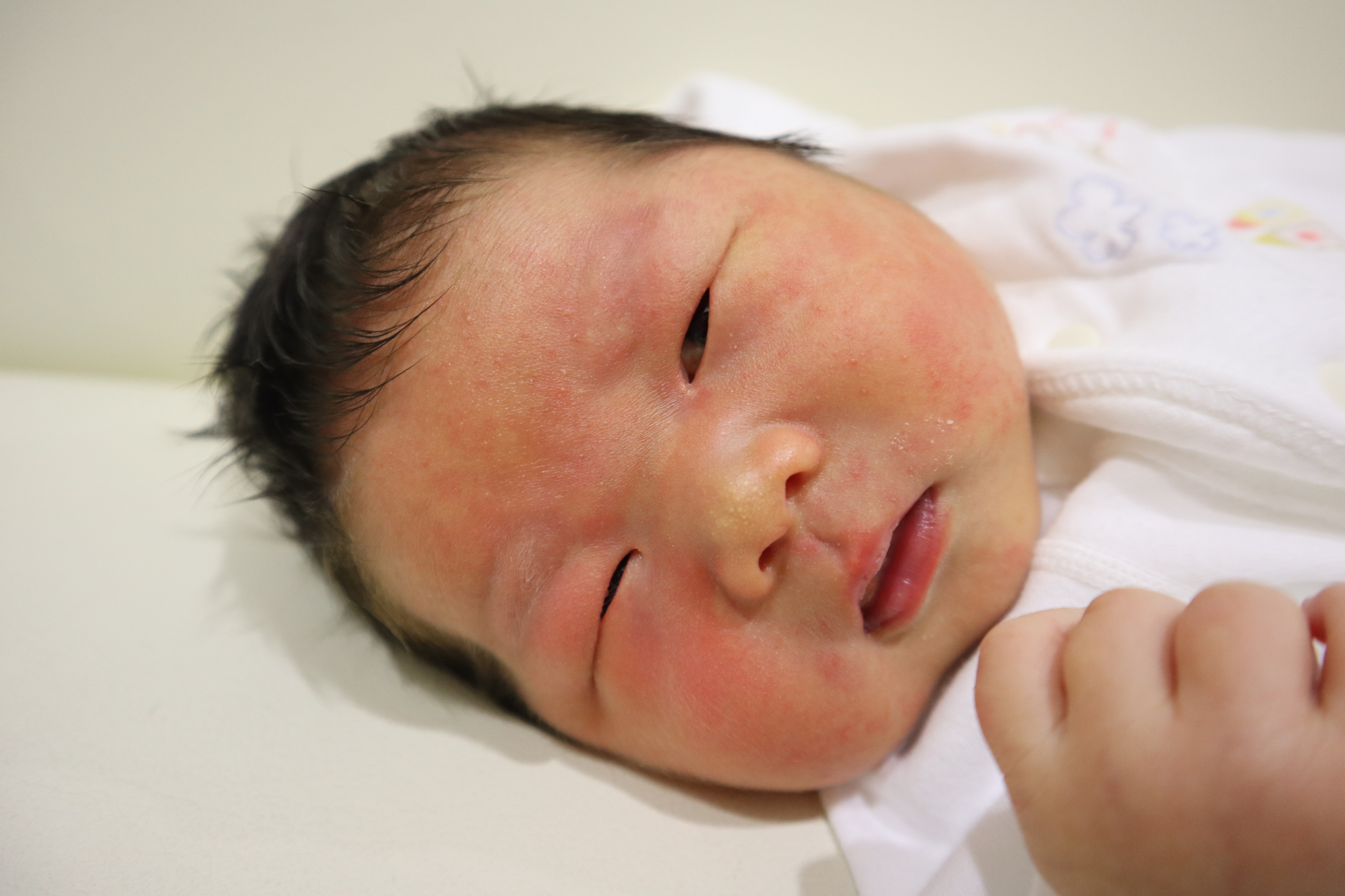 <br />
<b>Warning</b>:  Trying to access array offset on int in <b>/home/xs211088/yamauchi-lc.com/public_html/wp/wp-content/themes/yamauchi-lc3/single-hello-world.php</b> on line <b>32</b><br />
