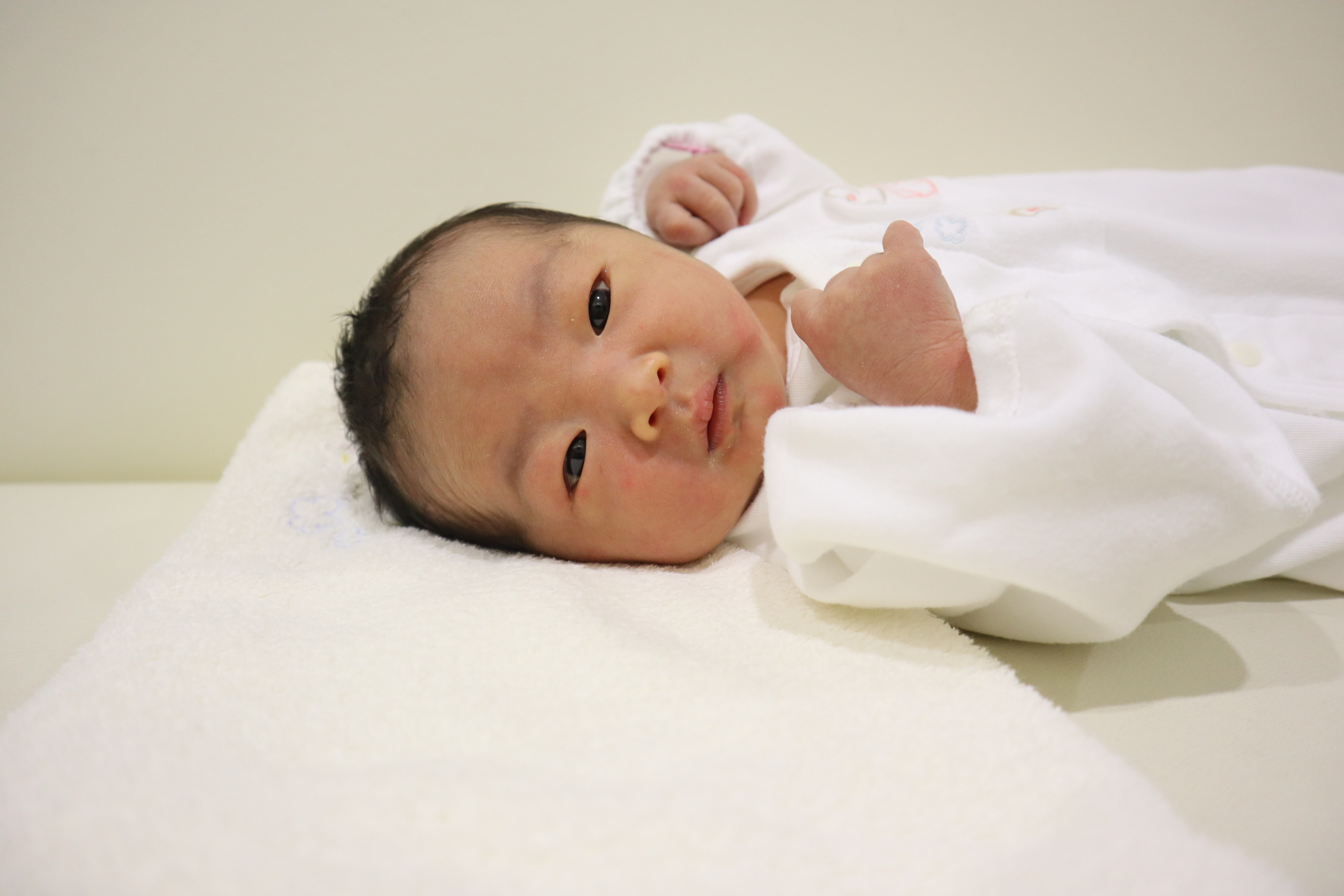 <br />
<b>Warning</b>:  Trying to access array offset on int in <b>/home/xs211088/yamauchi-lc.com/public_html/wp/wp-content/themes/yamauchi-lc3/single-hello-world.php</b> on line <b>32</b><br />
