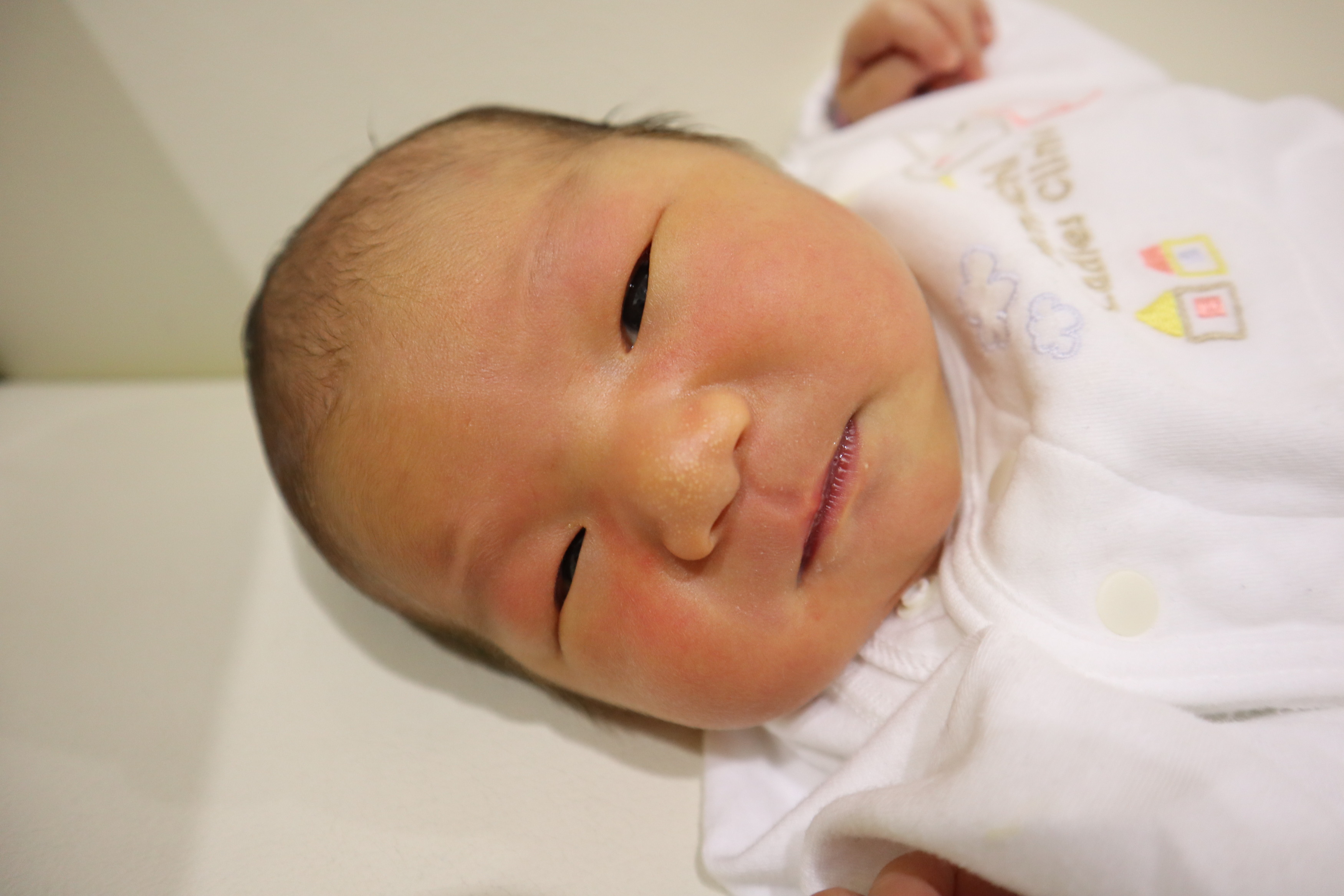 <br />
<b>Warning</b>:  Trying to access array offset on int in <b>/home/xs211088/yamauchi-lc.com/public_html/wp/wp-content/themes/yamauchi-lc3/single-hello-world.php</b> on line <b>32</b><br />
