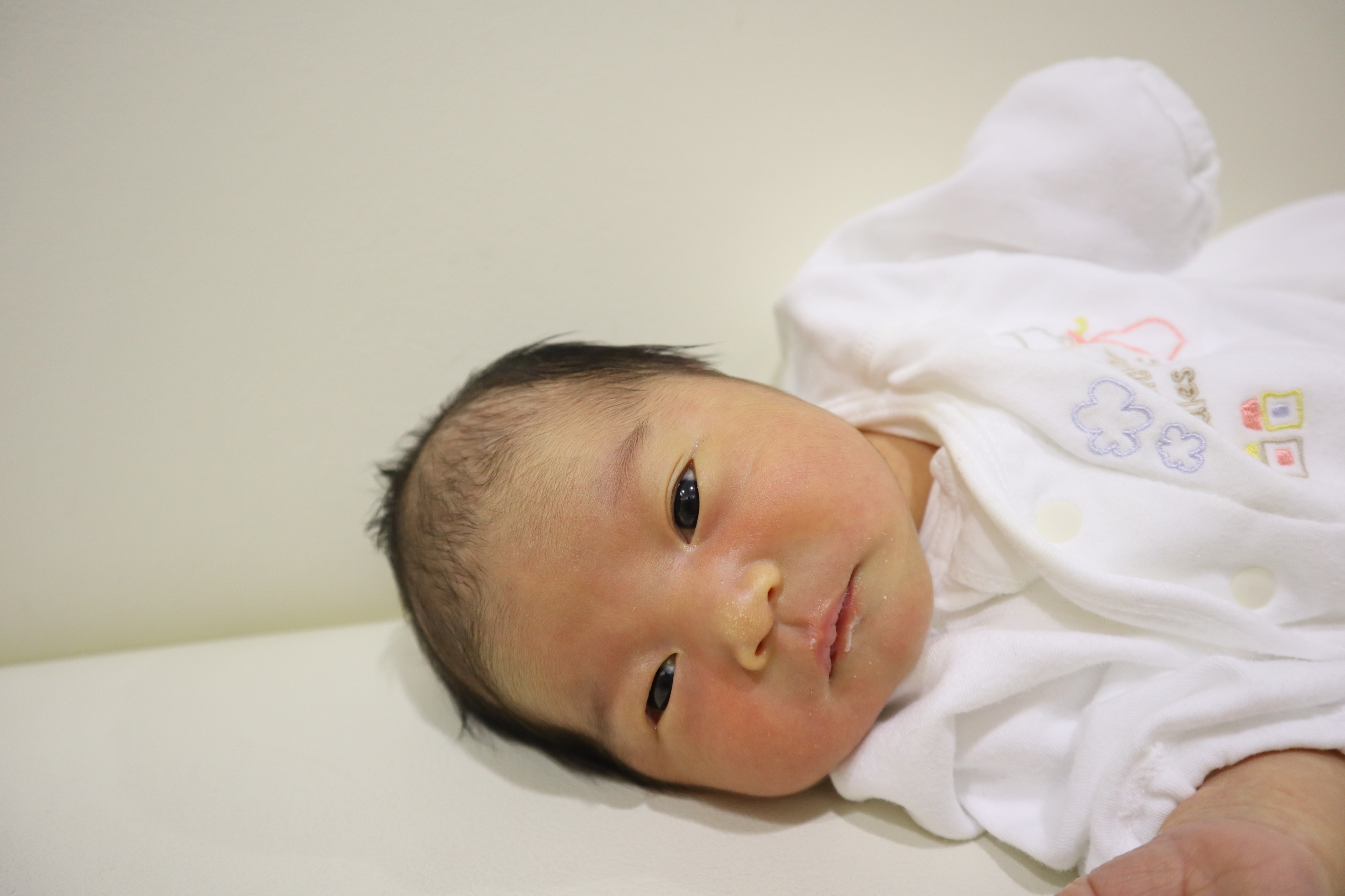 <br />
<b>Warning</b>:  Trying to access array offset on int in <b>/home/xs211088/yamauchi-lc.com/public_html/wp/wp-content/themes/yamauchi-lc3/single-hello-world.php</b> on line <b>32</b><br />
